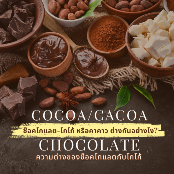 ความต่างCHOCOLATE – COCOA – CACOA