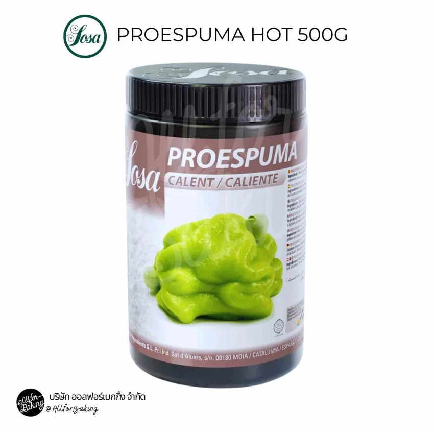 Sosa Proespuma Hot 500 g.